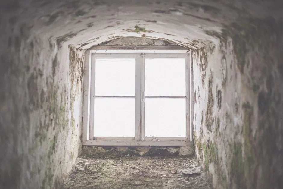 Common causes of mold in Riverbend homes