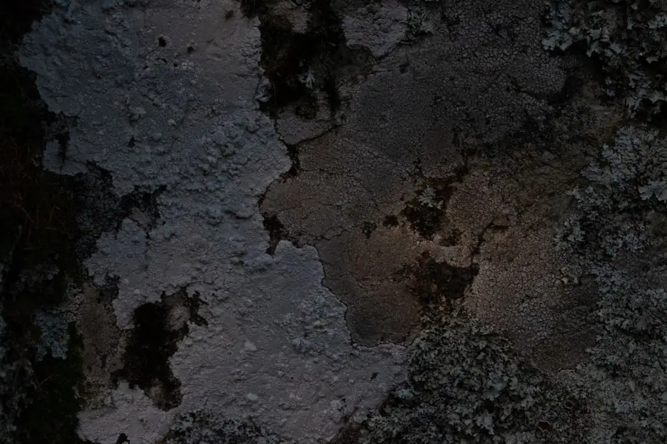 What every Lawrenceville homeowner should check before hiring a mold remediation pro