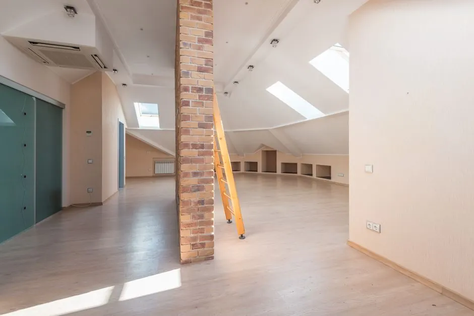 What to do if you find mold in your attic